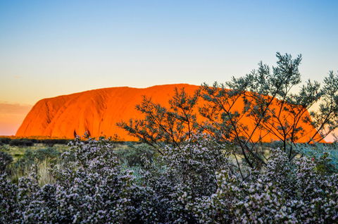 Uluru Sunrise And Kata Tjuta Half Day Trip - Inverell Accommodation 2