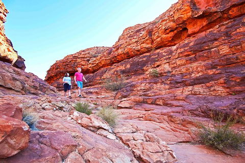 3-Day Tour From Uluru (Ayers Rock) To Alice Springs Via Kings Canyon - Inverell Accommodation 27