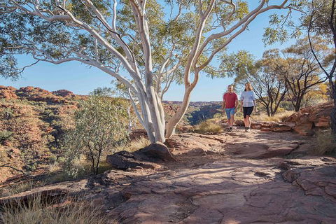 3-Day Tour From Uluru (Ayers Rock) To Alice Springs Via Kings Canyon - Inverell Accommodation 26