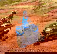 Aussie Outback Air and Land Tour Including Quad Bike Ride - Inverell Accommodation