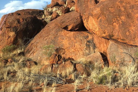 Aboriginal Homelands Experience From Ayers Rock Including Sunset - Inverell Accommodation 9