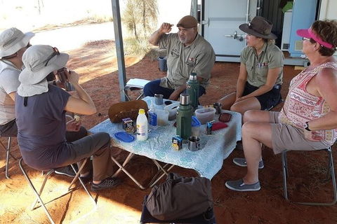 Aboriginal Homelands Experience From Ayers Rock Including Sunset - Inverell Accommodation 2