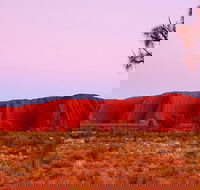 Best of Ayers Rock Sunset Uluru and Sunrise Kata Tjuta Small Group Tours - Inverell Accommodation