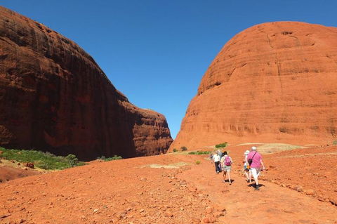 Overnight Uluru (Ayers Rock) Small-Group Camping Tour - Inverell Accommodation 6