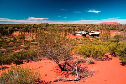 Overnight Uluru (Ayers Rock) Small-Group Camping Tour - Inverell Accommodation 0