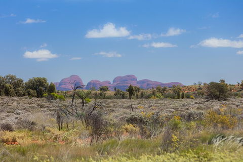 Overnight Uluru (Ayers Rock) Small-Group Camping Tour - Inverell Accommodation 15