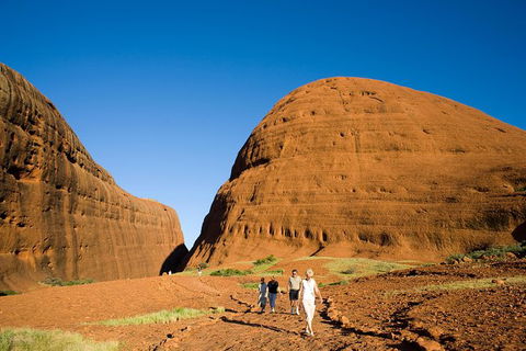Afternoon Kata Tjuta Small Group Tour - Inverell Accommodation 0