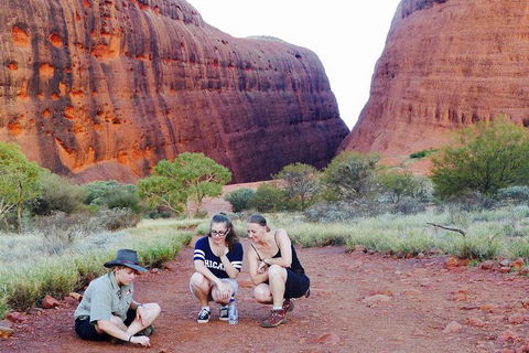 Afternoon Kata Tjuta Small Group Tour - Inverell Accommodation 7