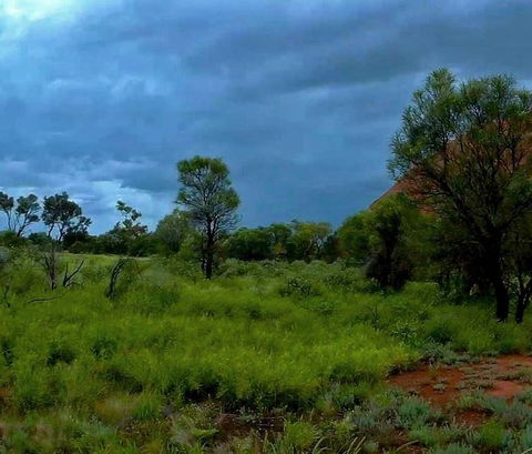 3-Day Ayers Rock To Alice Springs Camping Tour Including Kings Canyon, Kata Tjuta And Uluru - Inverell Accommodation 11