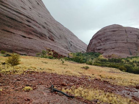 3-Day Ayers Rock To Alice Springs Camping Tour Including Kings Canyon, Kata Tjuta And Uluru - Inverell Accommodation 4