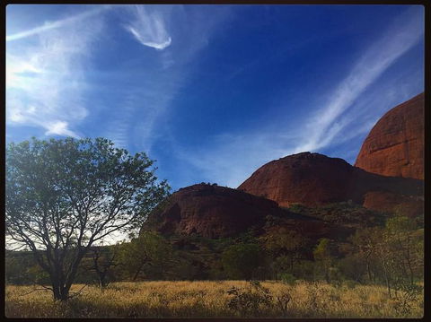 3-Day Ayers Rock To Alice Springs Camping Tour Including Kings Canyon, Kata Tjuta And Uluru - Inverell Accommodation 14