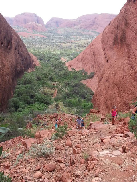 3-Day Ayers Rock To Alice Springs Camping Tour Including Kings Canyon, Kata Tjuta And Uluru - Inverell Accommodation 7