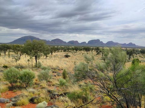 3-Day Ayers Rock To Alice Springs Camping Tour Including Kings Canyon, Kata Tjuta And Uluru - Inverell Accommodation 5