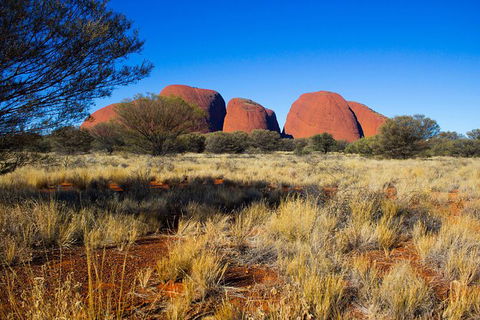 Kata Tjuta Sunrise And Valley Of The Winds Half-Day Trip - Inverell Accommodation 11