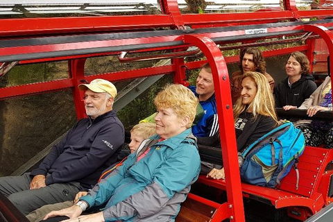 Blue Mountains Ultimate One-Day Tour - Inverell Accommodation 12