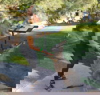 Sydney Private Day Tours - Central Coast Beaches Plus Wildlife  Reptile Park - Inverell Accommodation