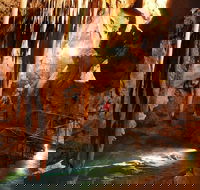 Jenolan Caves and Blue Mountains Tour from Sydney - Inverell Accommodation