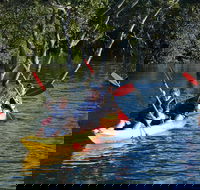 Kayak and SUP Guided Tours - Inverell Accommodation
