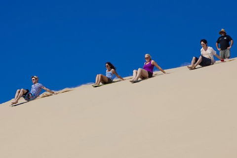 Port Stephens Day Tour From Sydney Including 4WD, Sandboarding And Dolphins - Inverell Accommodation 1