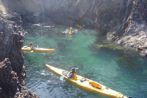Batemans Bay Full Day Sea Kayak Tour With Beach Picnic Lunch - Inverell Accommodation 5