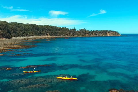 Batemans Bay Full Day Sea Kayak Tour With Beach Picnic Lunch - Inverell Accommodation 7