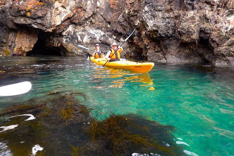 Batemans Bay Full Day Sea Kayak Tour With Beach Picnic Lunch - Inverell Accommodation 2