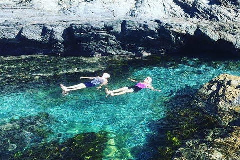 Batemans Bay Full Day Sea Kayak Tour With Beach Picnic Lunch - Inverell Accommodation 6