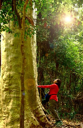 3 Day Murramarang Coast Journey From Batemans Bay With Meals And Villa Accom - Inverell Accommodation 4