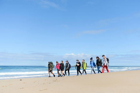 3 Day Murramarang Coast Journey From Batemans Bay With Meals And Villa Accom - Inverell Accommodation 7