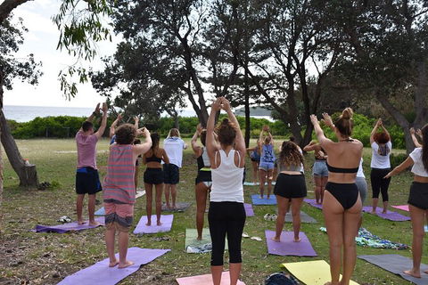 7-Day Byron Bay, Evans Head And Moonee Beach Surf Safari From Brisbane, Gold Coast Or Byron Bay - Inverell Accommodation 3