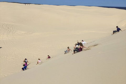 Port Stephens Bush, Beach And Sand Dune 4WD Passenger Tour - Inverell Accommodation 2
