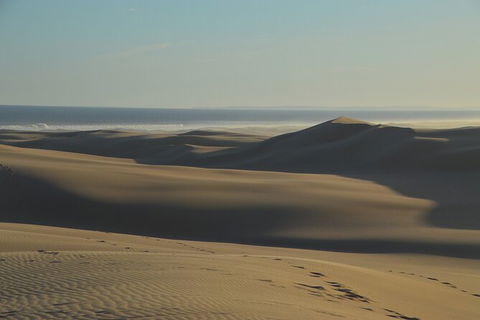 Port Stephens Bush, Beach And Sand Dune 4WD Passenger Tour - Inverell Accommodation 6