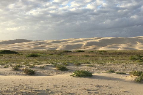 Port Stephens Bush, Beach And Sand Dune 4WD Passenger Tour - Inverell Accommodation 3