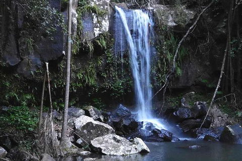Personal, Private Chauffeur Driven Guided Tours - Inverell Accommodation 1