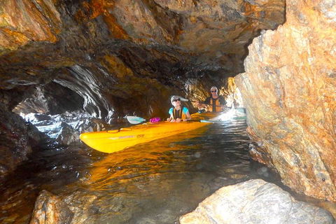 Whale Watching By Sea Kayak In Batemans Bay - Inverell Accommodation 4