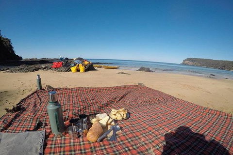 Whale Watching By Sea Kayak In Batemans Bay - Inverell Accommodation 6
