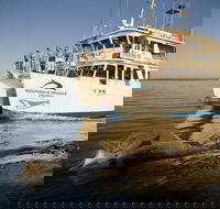 Jervis Bay Dolphin Watch Cruise - Inverell Accommodation