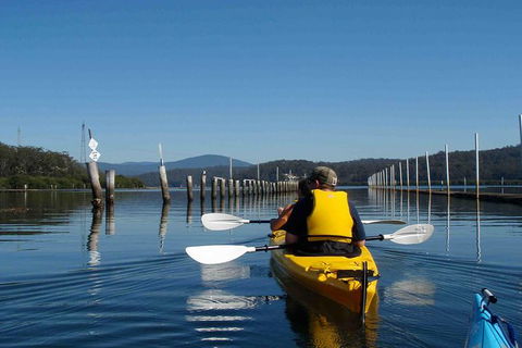 Batemans Bay Oyster Tasting Kayak Tour - Inverell Accommodation 0