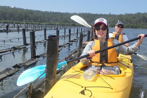 Batemans Bay Oyster Tasting Kayak Tour - Inverell Accommodation 5
