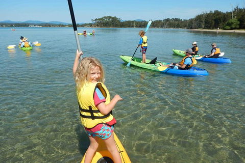 Batemans Bay Glass-Bottom Kayak Tour Over 2 Relaxing Hours - Inverell Accommodation 0