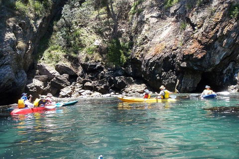 Batemans Bay Glass-Bottom Kayak Tour Over 2 Relaxing Hours - Inverell Accommodation 1