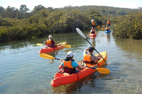 Batemans Bay Glass-Bottom Kayak Tour Over 2 Relaxing Hours - Inverell Accommodation 4