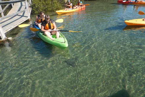 Batemans Bay Glass-Bottom Kayak Tour Over 2 Relaxing Hours - Inverell Accommodation 5