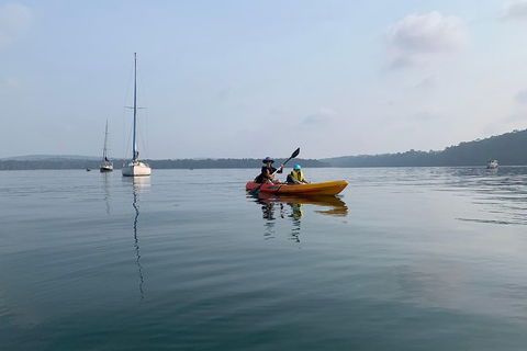 Batemans Bay Glass-Bottom Kayak Tour Over 2 Relaxing Hours - Inverell Accommodation 7