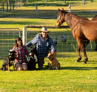 Meet The Animals - Inverell Accommodation