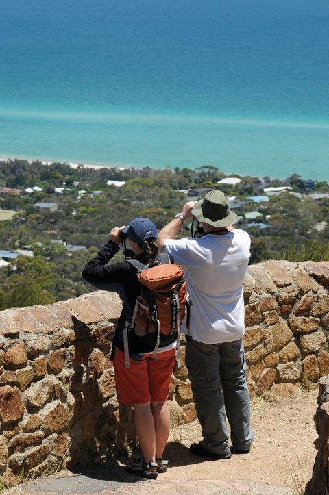 Arthurs Seat State Park - Inverell Accommodation 2