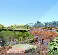 Bladensburg National Park - Inverell Accommodation
