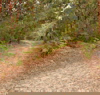 Daleys Point Walking Track - Inverell Accommodation