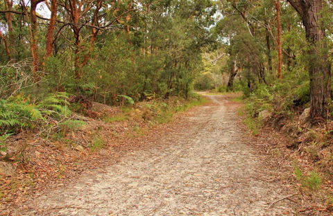 Daleys Point Walking Track - Inverell Accommodation 0