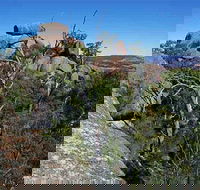 Evans Crown Nature Reserve - Inverell Accommodation